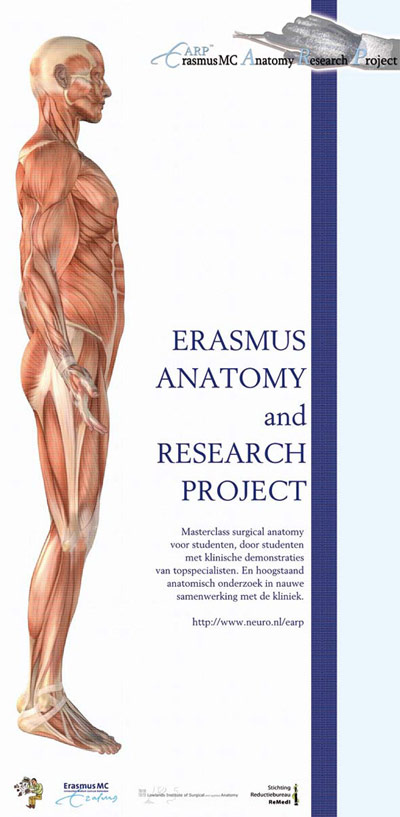 Banner Rotterdam Erasmus MC | Anatomy Research Project - 1006x2056 1